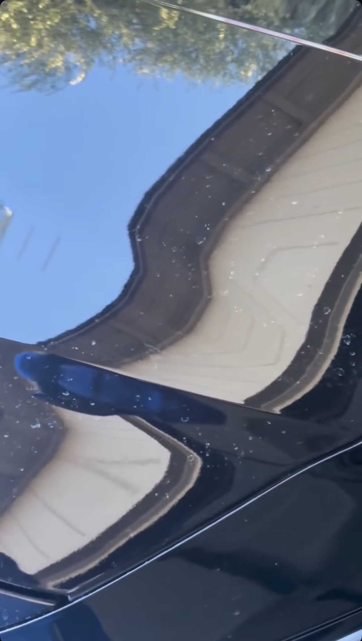 Paint surface detail