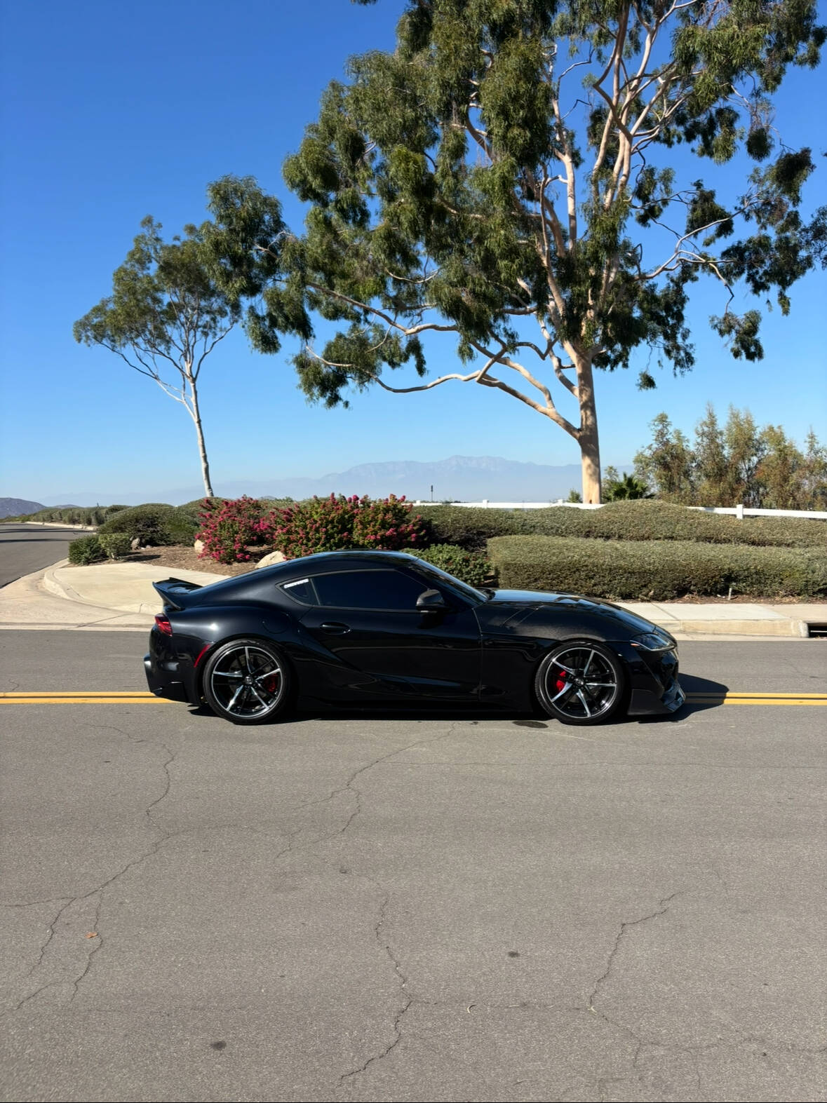 Toyota Supra black side profile
